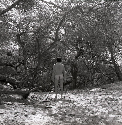 Serie El Oasis:...