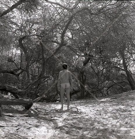 "The Oasis" Series:...