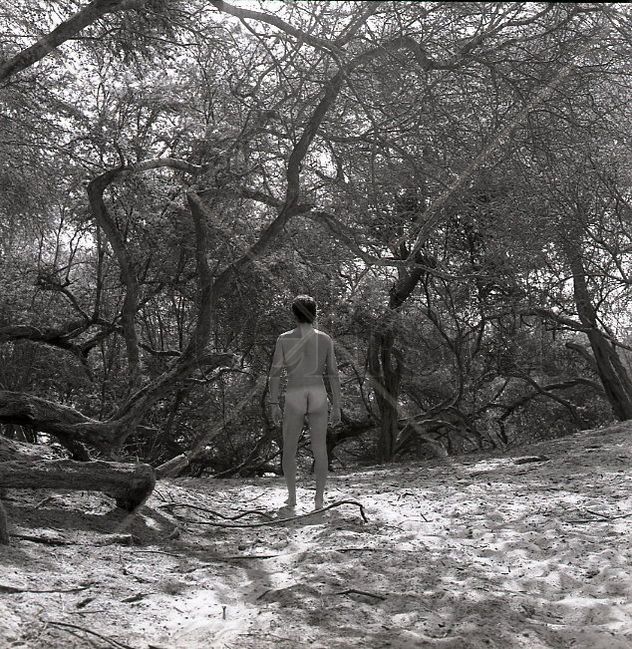 Serie El Oasis: "Fusión Hombre y Naturaleza 19"