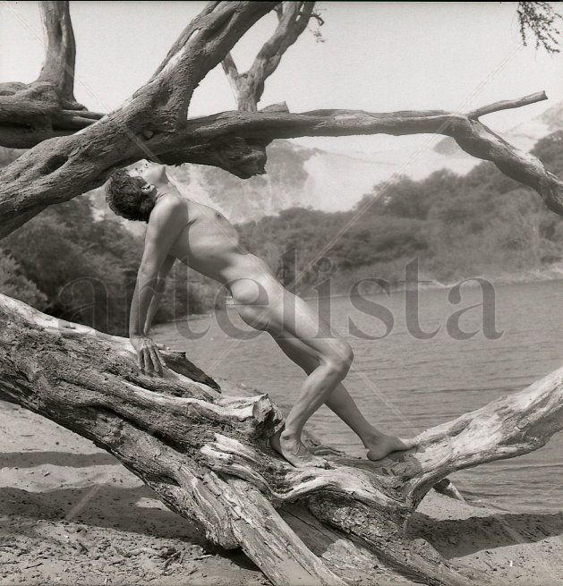 Serie El Oasis: "Fusión Hombre y Naturaleza 23"