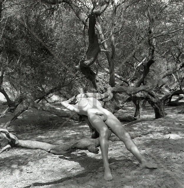 Dry Forest Series: Nude 1