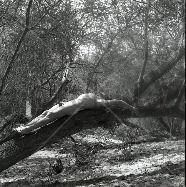 Dry Forest Series: Nude 2