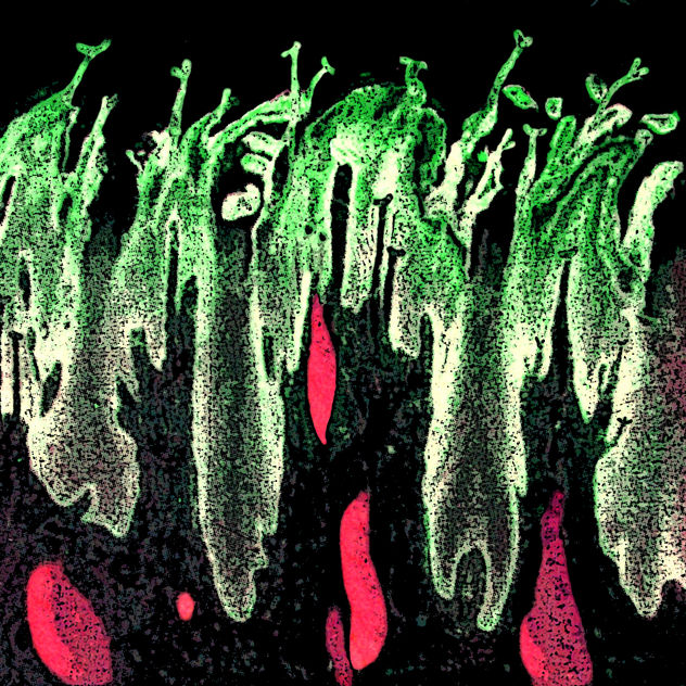 Garden of Sharp Tongues