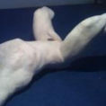 Serie Desnudos Escultura: Expuesto 1 — frontal