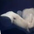 Serie Desnudos Escultura: Expuesto 1 — frontal