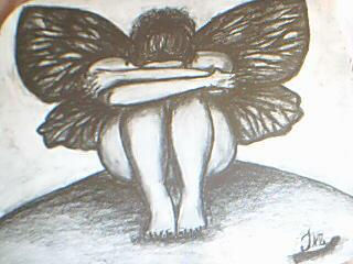 ninfa
