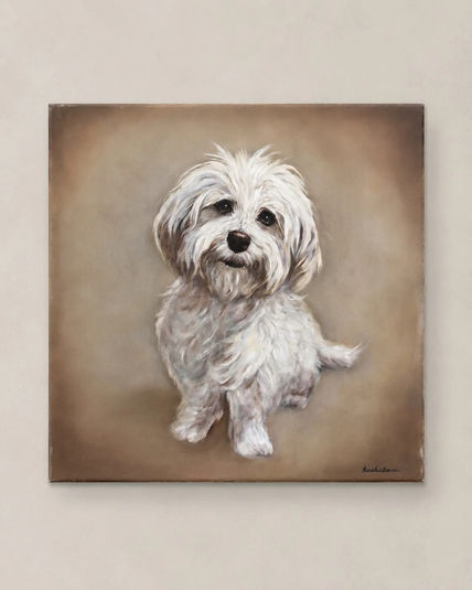 Maltese