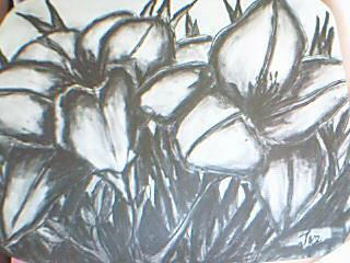 lirios Charcoal