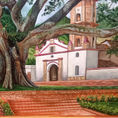 Majestuosidad Ancestral: La Ceiba de Gigante, Huila — frontal