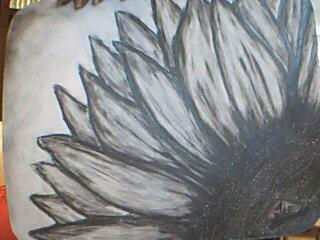 girasol Charcoal