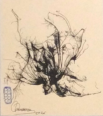 A 1 20x24