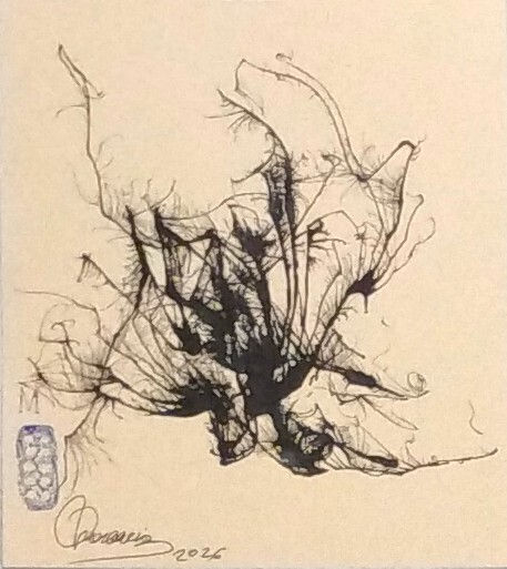 A 1 20X24