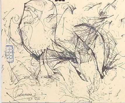 A 2 20x24