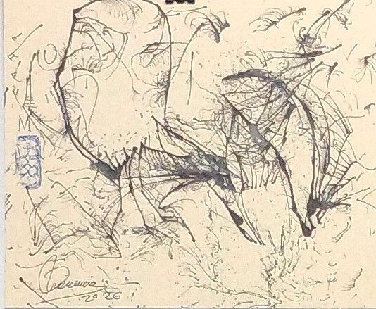 A 2 20X24