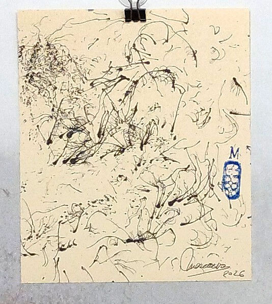 A 6 20X24