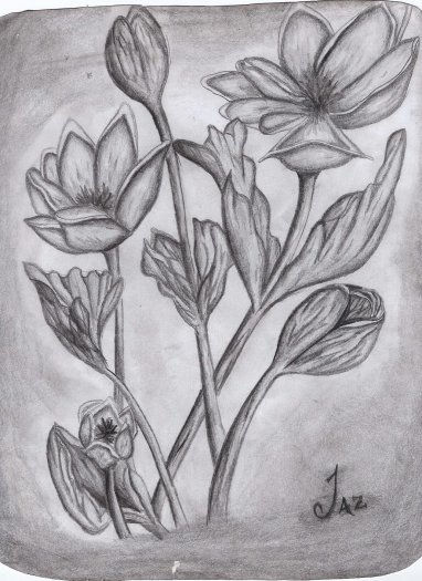 flores en el tiempo Charcoal