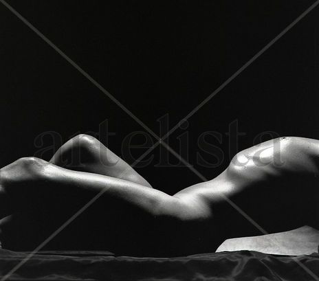 Bodyscape Series:...