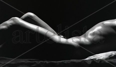 Bodyscape Series:...