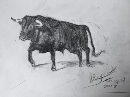 Dibujo de estudio...