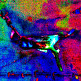 Metamorfosis de una quimera: del pigmento al pixel — detalle