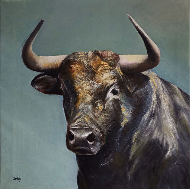 Toro bravo 2