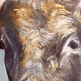 Toro bravo 2 — frontal
