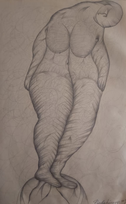 Metamorfosis 104