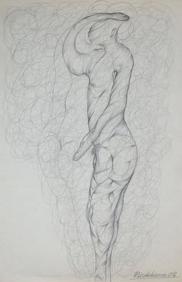 METAMORFOSIS 113