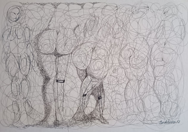 METAMORFOSIS 74