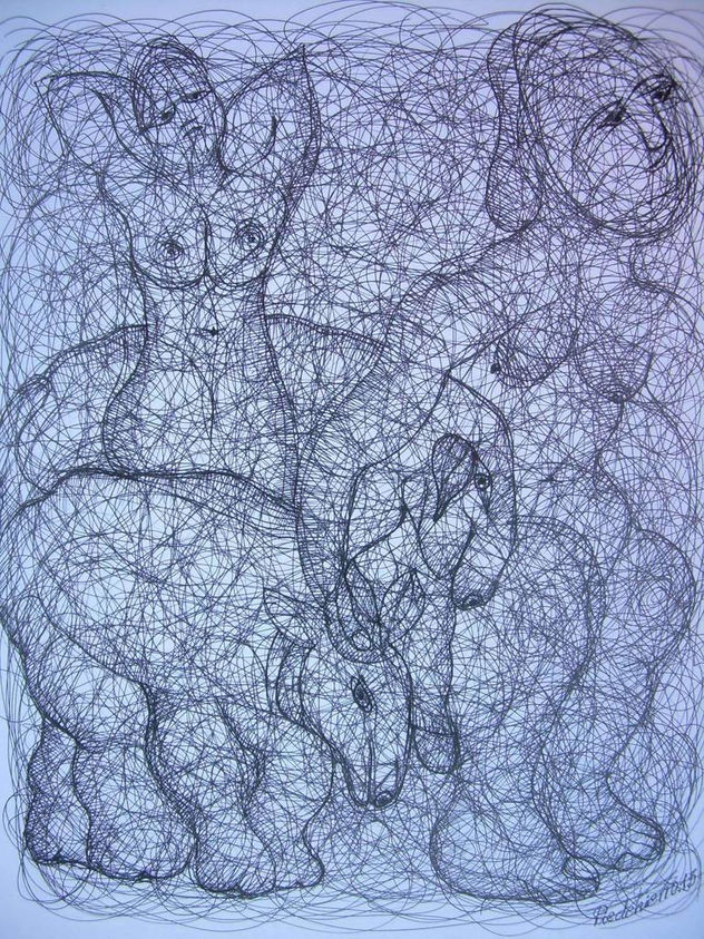 METAMORFOSIS 53