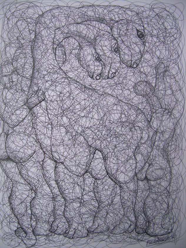 METAMORFOSIS 45