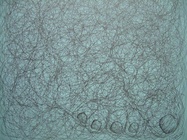 METAMORFOSIS 47