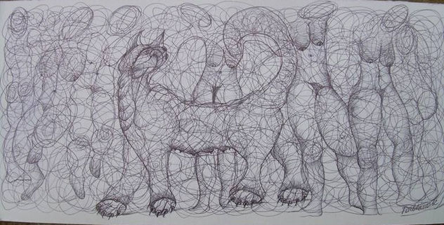 METAMORFOSIS 34