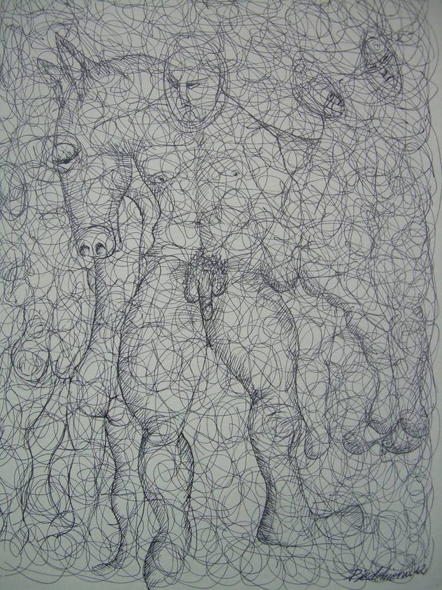 METAMORFOSIS 7