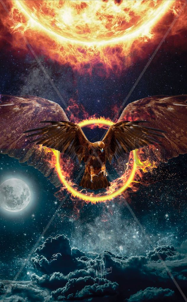 EL PORTAL