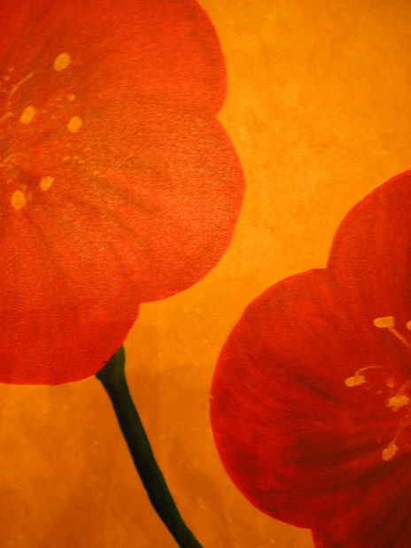 Amapolas