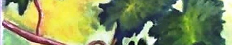 Imagen de portada