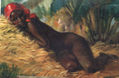 Desnudo en descanso
