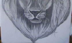 Dibujo