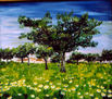 Campo con margaritas