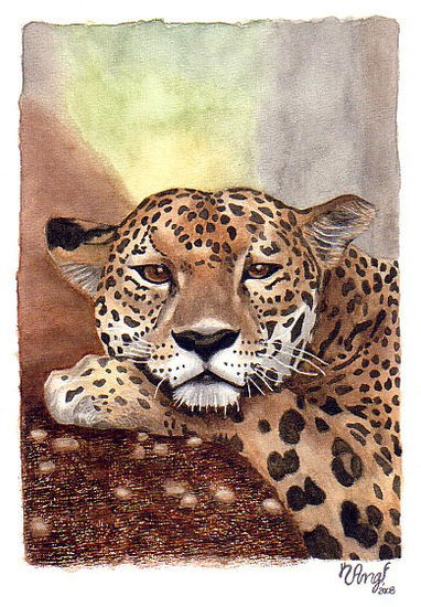 Jaguar Acuarela Papel Paisaje