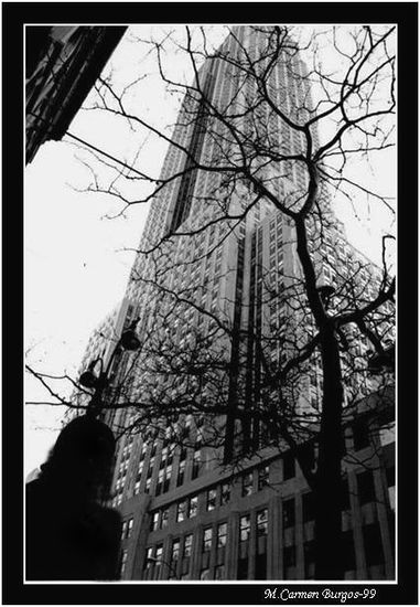 La persona y la técnica Arquitectura e interiorismo Blanco y Negro (Química)