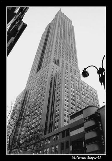 Empire State Arquitectura e interiorismo Blanco y Negro (Química)