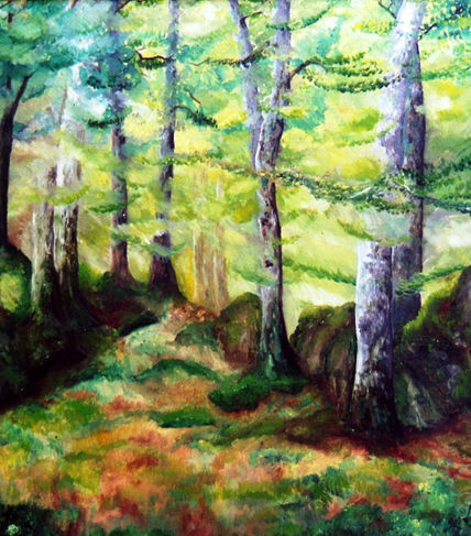 Bosque de hayedos