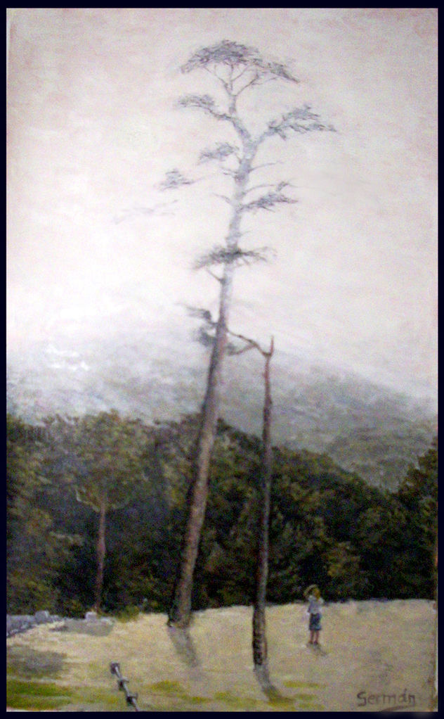paisaje4