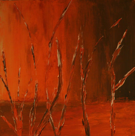Desierto