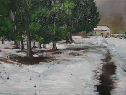 Paisaje Nevado