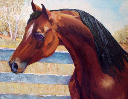 En el corral.