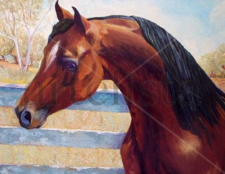 En el corral.