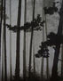 paisaje
